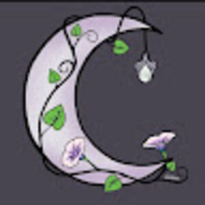 Meet your Posher, Moonbeam